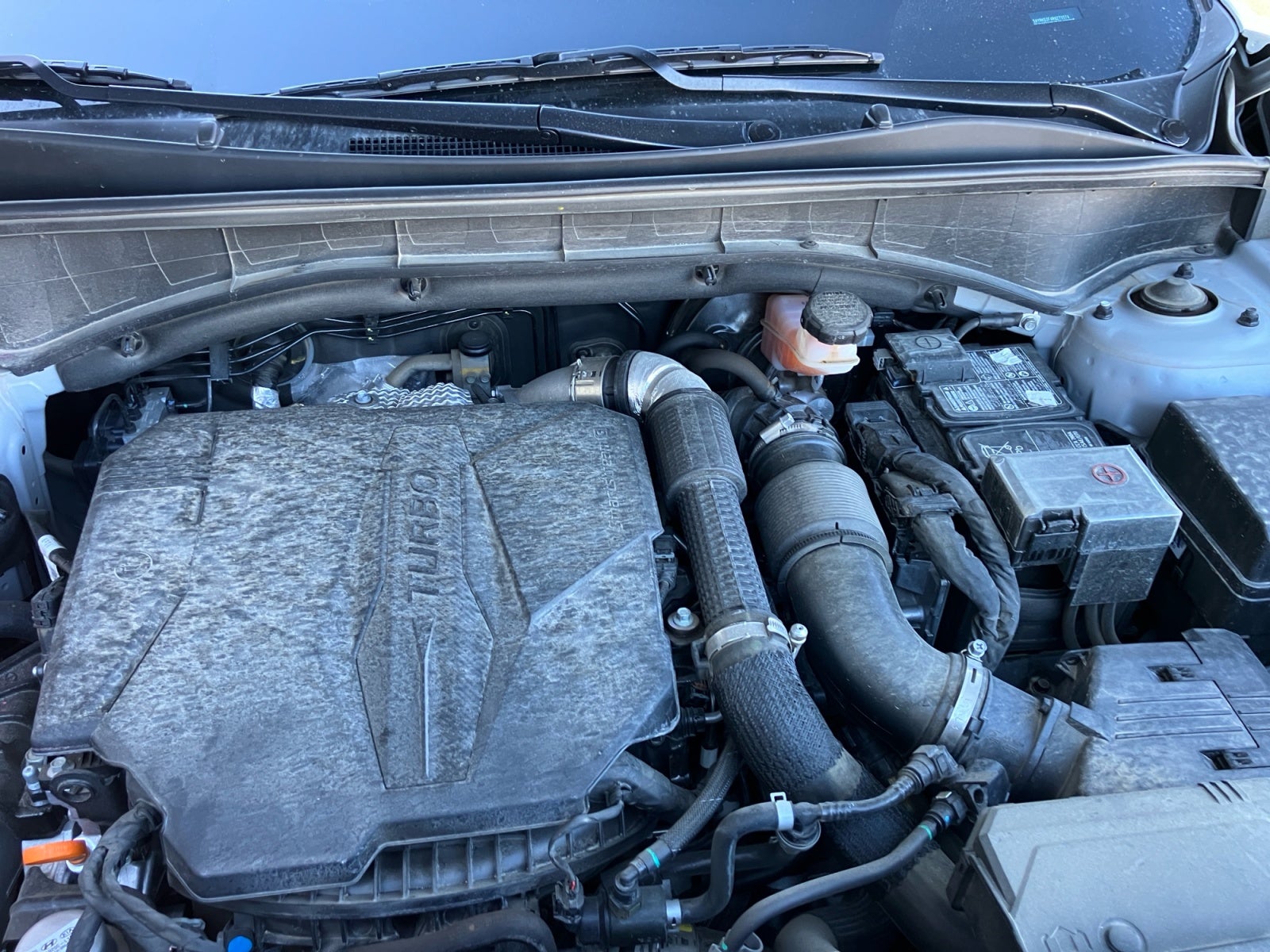 2024 Kia Sorento X-Line SX